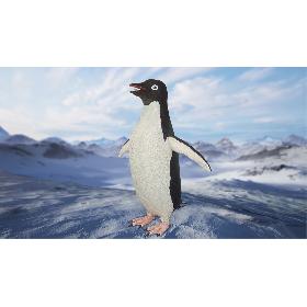Adelie Penguin T-Pose 3D model
